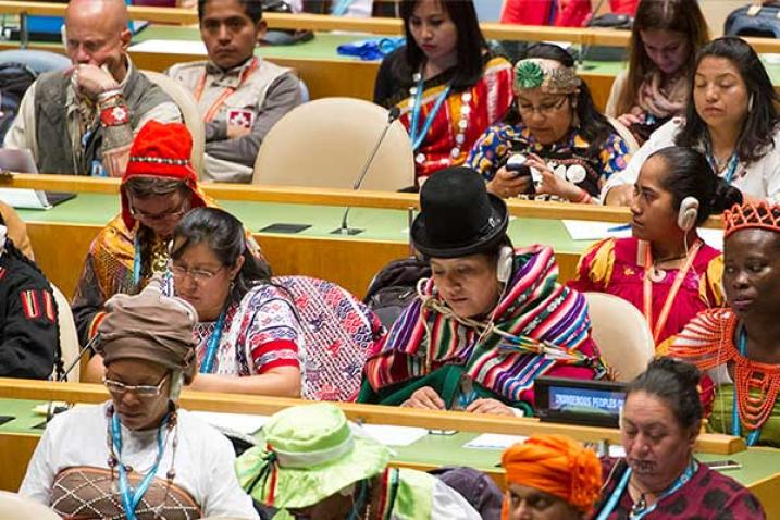 Des participants à la cérémonie d'ouverture de la quinzième session de l'Instance permanente des Nations Unies sur les questions autochtones.