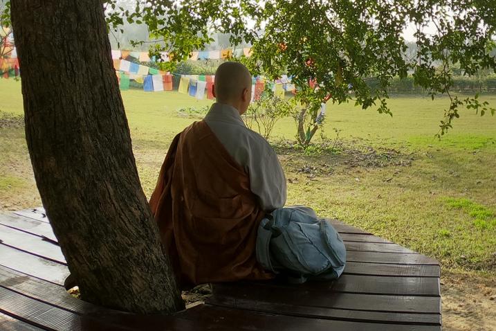 A monk pilgrim meditating under the Bodhi tree in the sacred garden of Lumbini, the Birthplace of the Lord Buddha