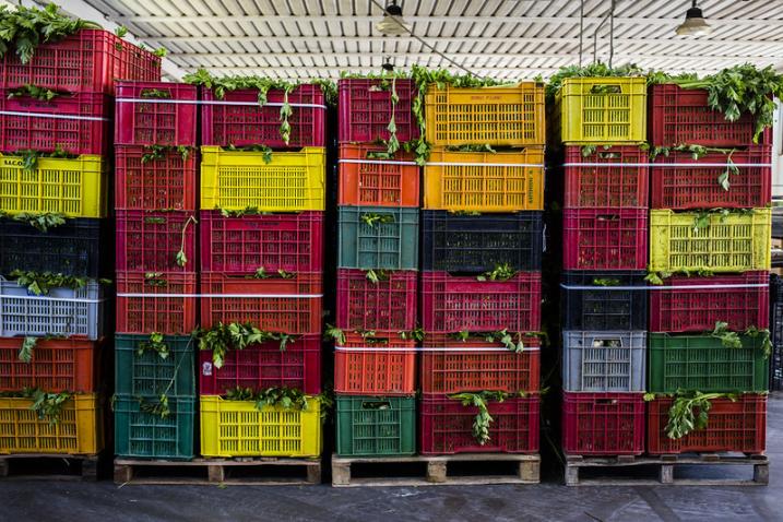 Crates of celery stacked on pallets.