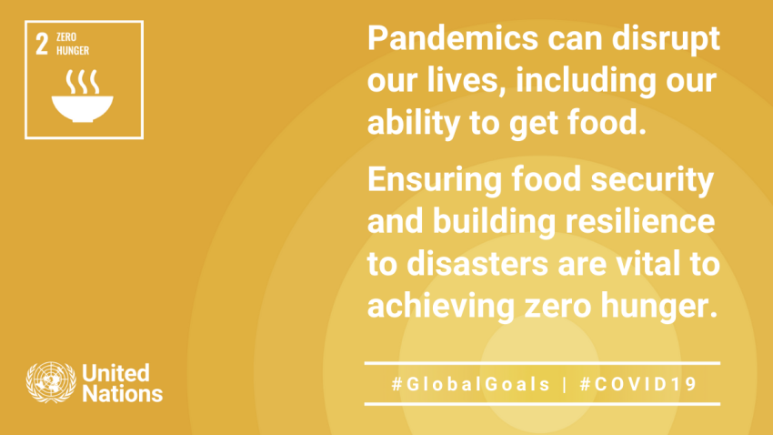 An information card on SDG Goal 2: Zero Hunger. "Pandemics can disrupt our lives, including our ability to get food. Ensuring food security and building resilience to disasters are vital in achieving zero hunger"