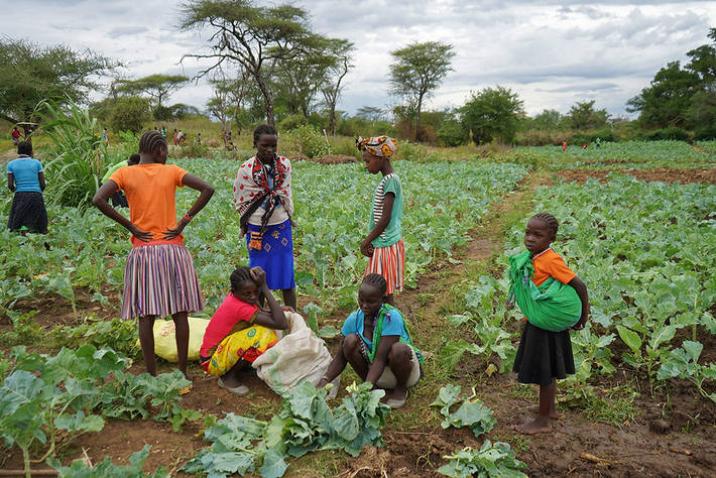 Scene of a kale farm with people, including children, harvesting the crop.