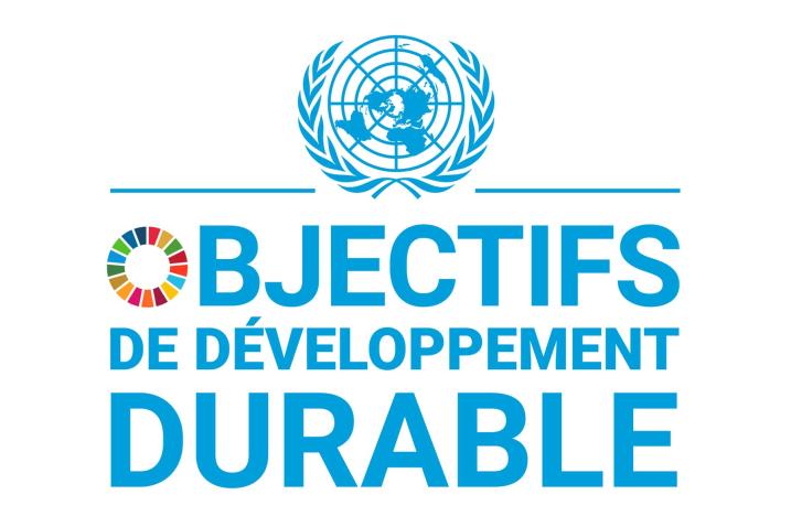 Logo des objectifs de développement durable
