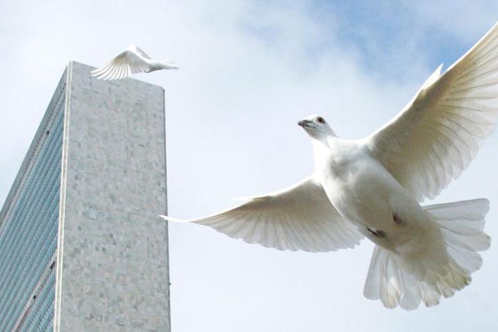 Unas palomas sobrevuelan el edificio de las Naciones Unidas en Nueva York. 