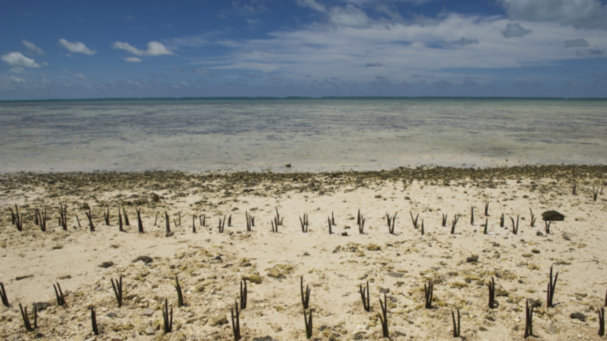 Climate Change Effects in Island Nation of Kiribati.
