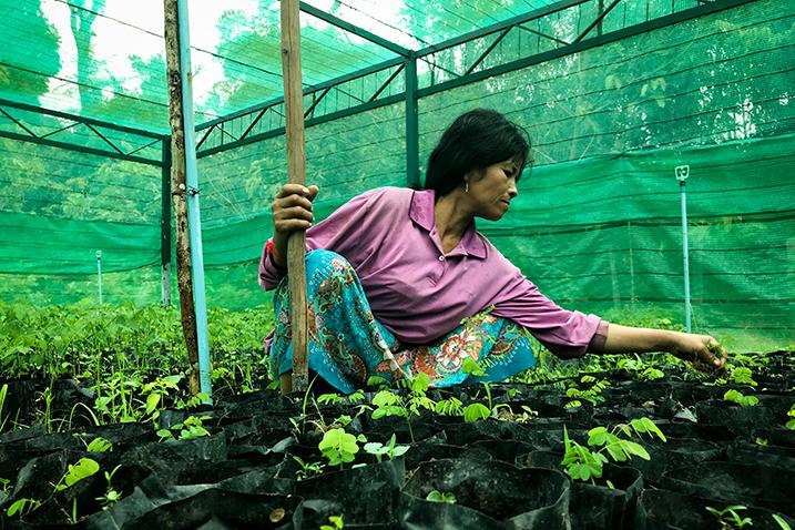 A woman takes care of plants in a nursery 