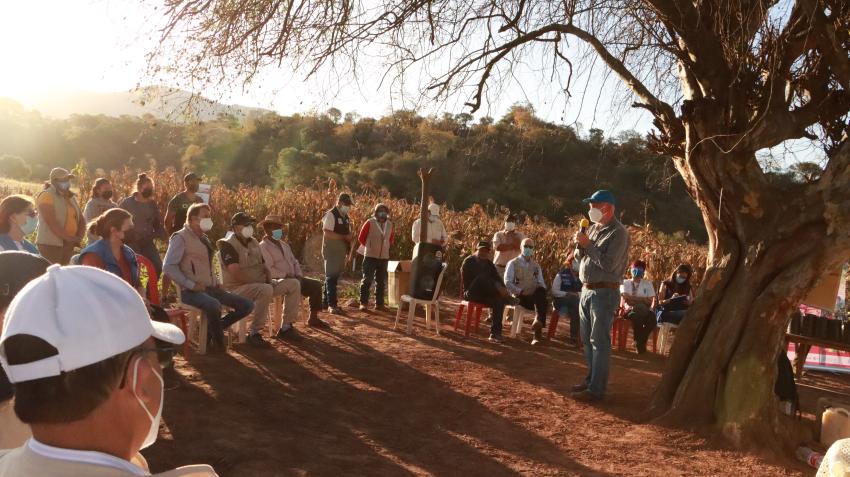 Unas personas escuchan una intervención en un campo, bajo un árbol