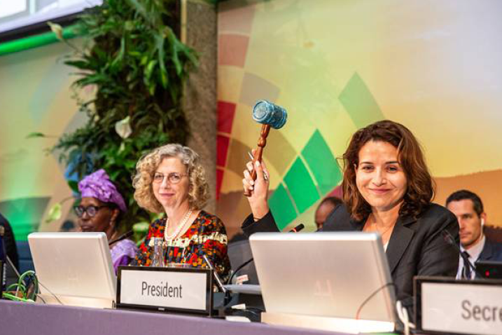 Women delegates seated at conference table.