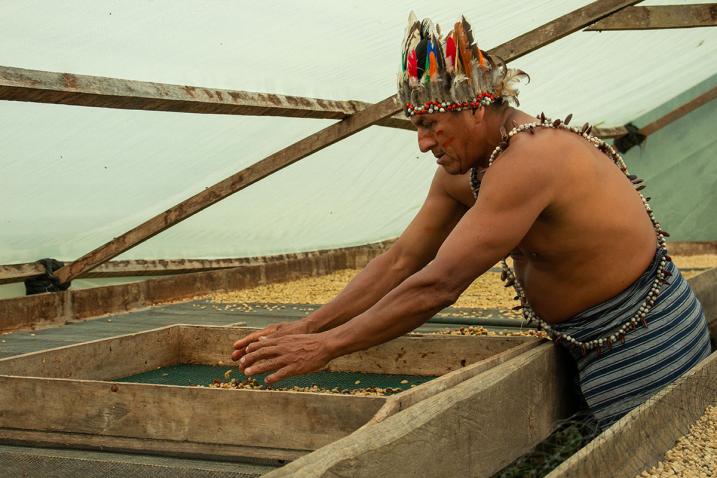 man in indigenous dress drying coffee beans