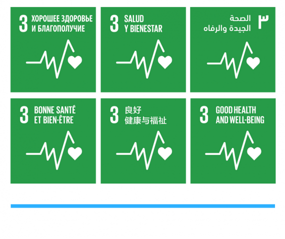 sdg 3 good health and wellbeing essay