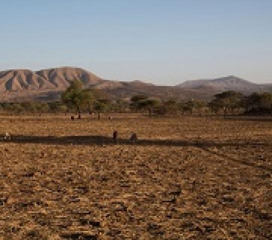 3 February 2016, Arsi, Ethiopia. Drough affected areas. OCHA/ Charlotte Cans|Nino2