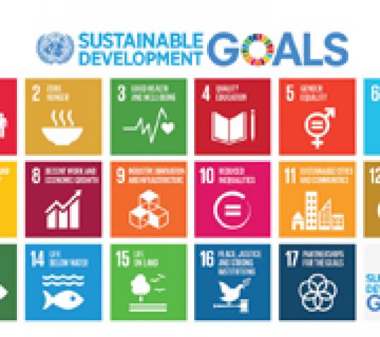 |Sustainable Development Goals_E_Final sizes