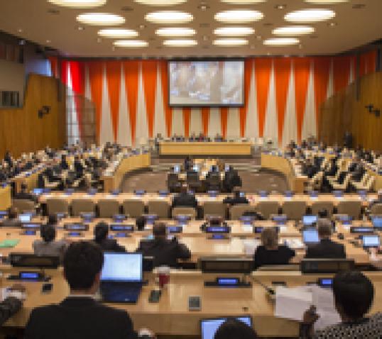 2015 Operational Activities for Development Segment of the Substantive Session of ECOSOC|2015 Operational Activities for Development Segment of the Substantive Session of ECOSOC