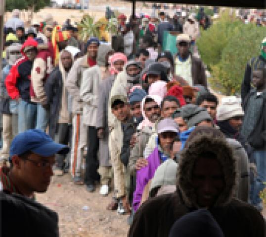 migration_data_12jan copy|Migrants on the border|Migration_jobs