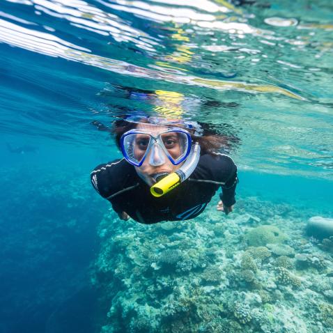 الدكتورة/ آشا دي فوس تزور أحد الشعاب المرجانية خلال المهمة الزرقاء الثانية: بابوا غينيا الجديدة إلى جزر سليمان، 10-16 تشرين الأول/ أكتوبر 2015.  Ryan Lash