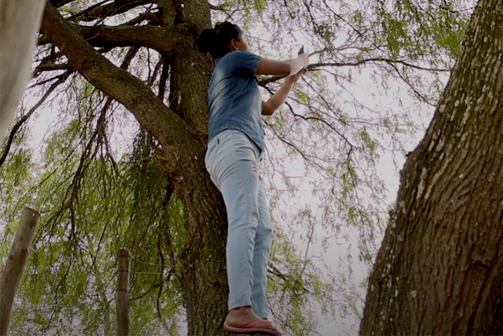 Una mujer subida a un árbol con el móvil apuntando al cielo