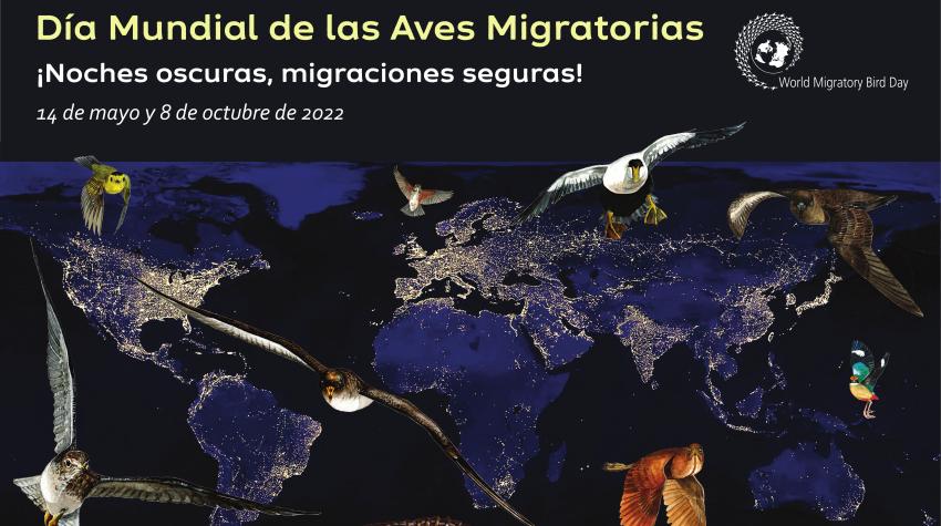 Por cortesía de la Convención sobre la conservación de las especies migratorias de animales silvestres (CMS).