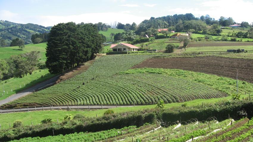 Tierras de cultivo en Costa Rica. Ronald Vargas