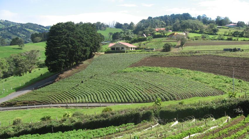 Farmland in Costa Rica. Ronald Vargas Farmland in Costa Rica. Ronald Vargas