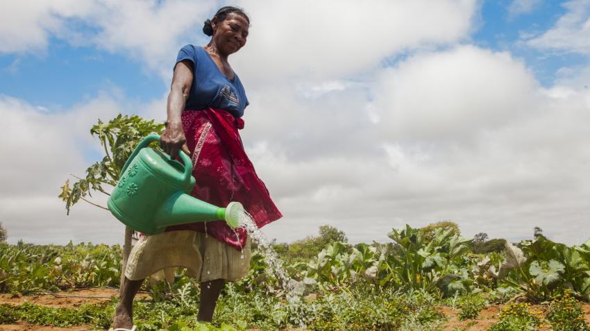 The population of the southern regions of Madagascar has historically suffered multiple deprivations, a situation that has become a humanitarian crisis due to the impact of El Nino. UNICEF/Lalaina Raoelison