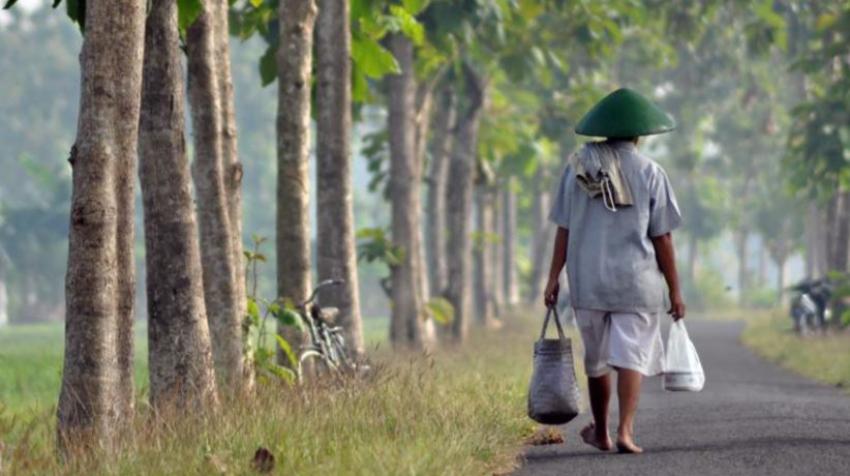 UN Photo/Ali Mustofa. Farmers on his way to paddy fields in Maos village, central Java, Indonesia.