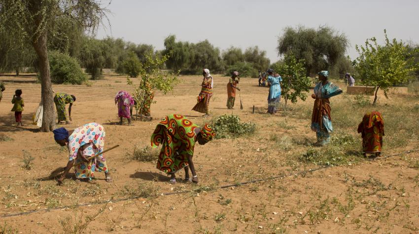 4.	Growing Hope Across Borders: The Great Green Wall, Africa's Epic Response to Global Challenges Led by Senegalese Women. ©Makewaves – UNCCD