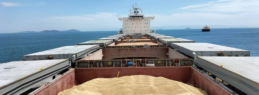 A cargo of grain in the sea