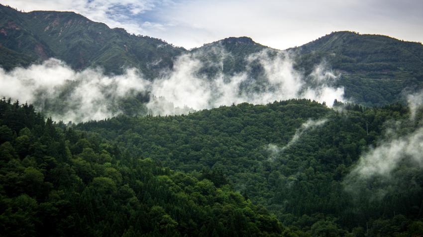 Фото предоставлено Люком Пари на веб-сайте Unsplash