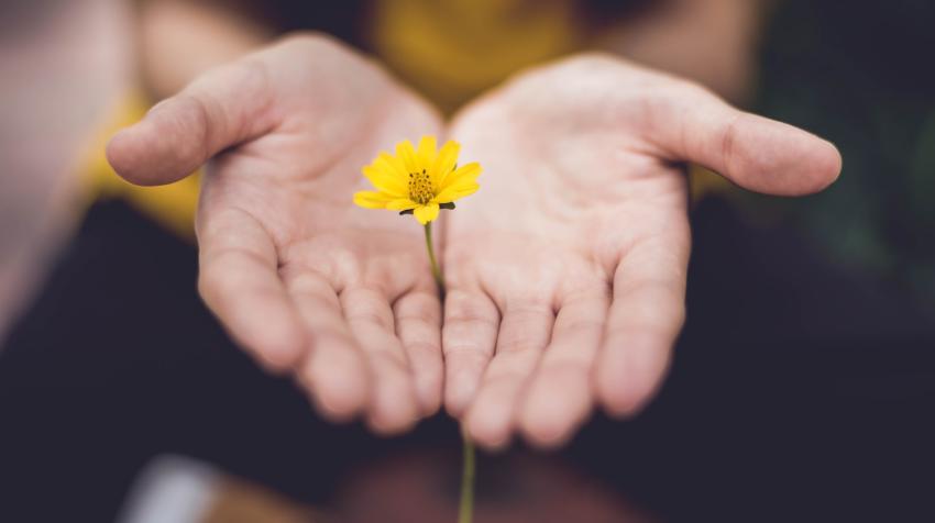 We all have a role to play in “creating hope through action” to prevent suicide. Photo: Lina Trochez on Unsplash