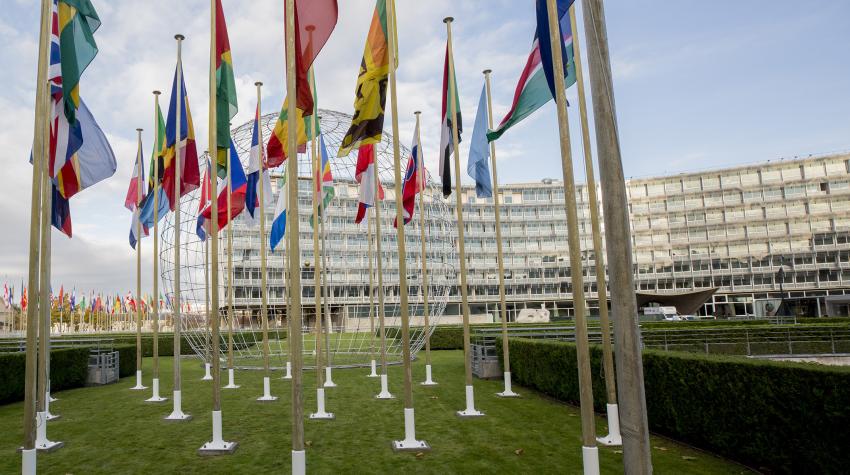Вид на штаб-квартиру Организации Объединенных Наций по вопросам образования, науки и культуры (ЮНЕСКО) в Париже. © ЮНЕСКО/Кристель Аликс (2017 год)