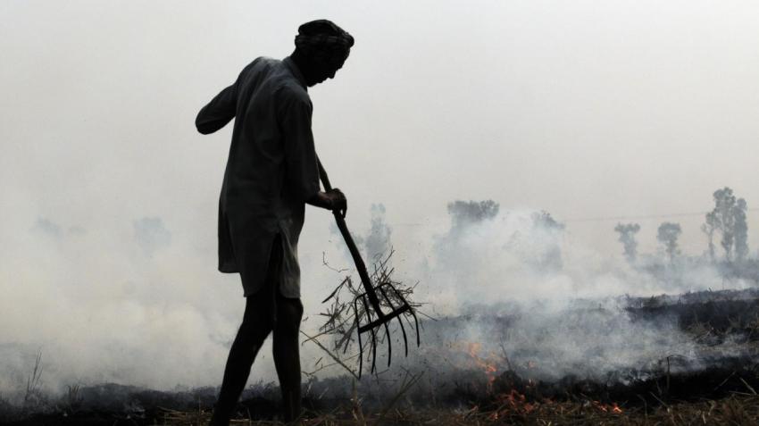 2011年印度旁遮普邦桑格鲁尔附近，人们正在田里焚烧收割后的稻茬，以便为种植小麦快速整地。Neil Palmer (CIAT)，知识共享署名-相同方式共享2.0，维基共享资源