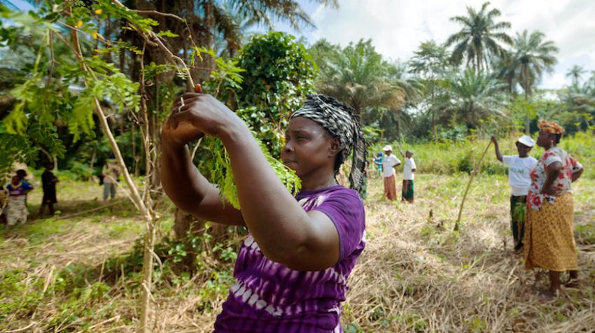 Photo credit: UN Women/Joe Saade.