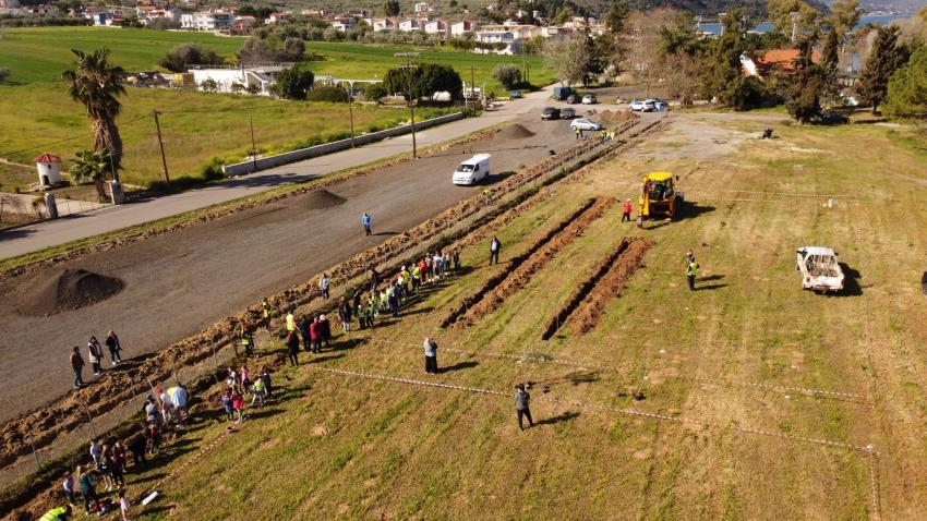 Field from above as it is prepared for tree planting 