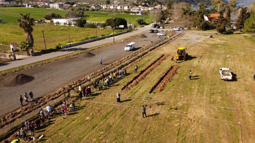 Field from above as it is prepared for tree planting 