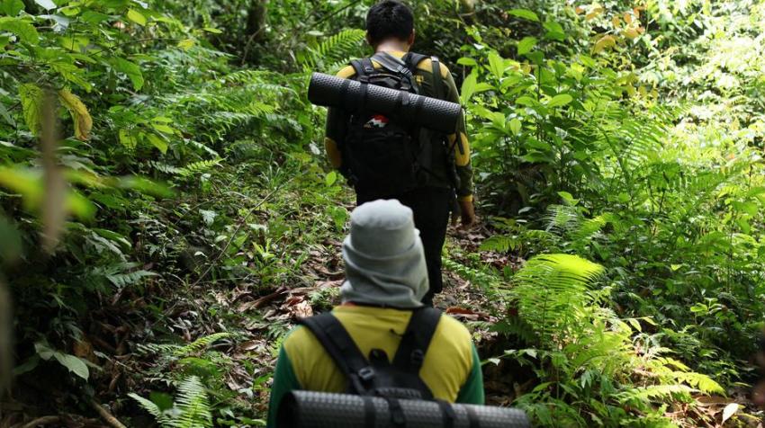 © UNDP Indonesia. CIWT Project Forest rangers patrol the Gunung Leuser National Park in Indonesia.