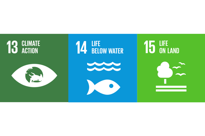 Icons of SDG 13, 14 and 15