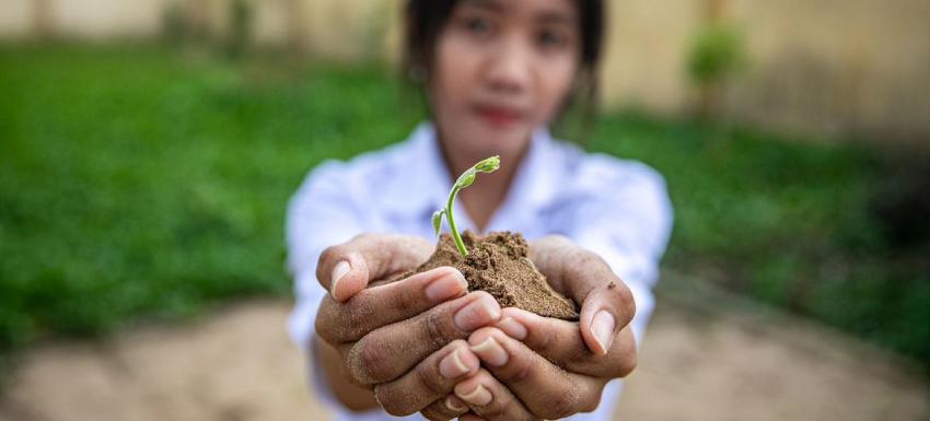 A woman holds the start of a plant. the plant is in focus, the woman is backgrounded. 