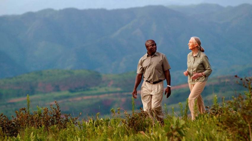 Filming Jane's Journey -- Mtiti and Jane on the hills above Gombe