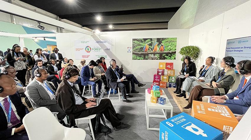 Photo credit: UN DESA