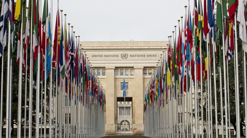 Two straight lines of flag poles displaying flags of member states extending to the Palais des Nations