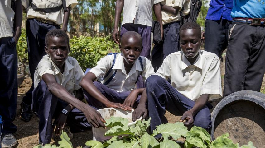 Three students of a school agriculture club are posing in their school garden with food crops they have been cultivating. 