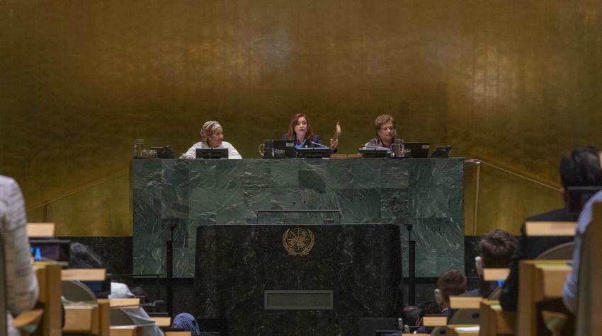 Chamber wall with the UN emblem