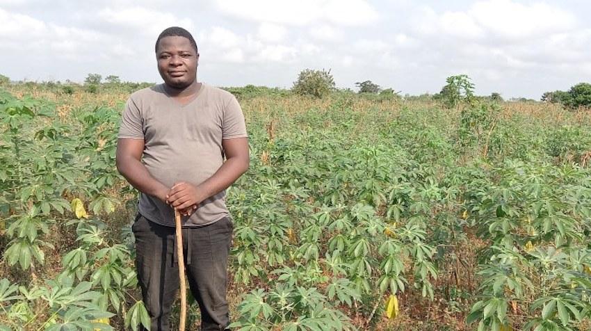 Photo of farmer in his corn field 