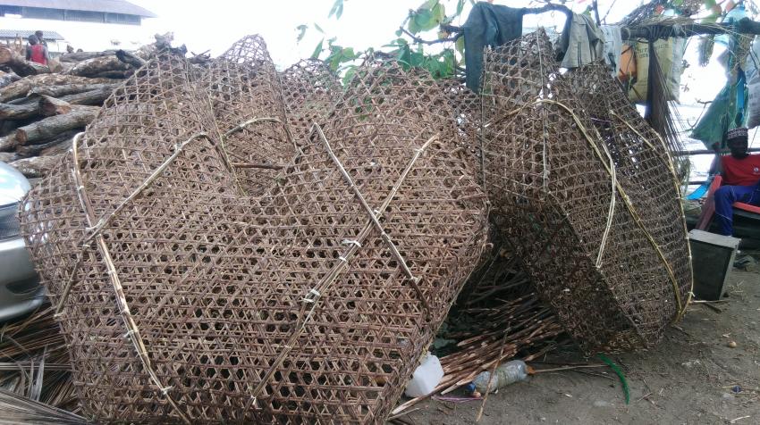 A bottom trap, called a dema trap, used in the shallow reef fishery off Mombasa, Kenya. ©Nina Wambiji