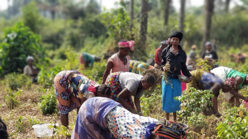 Women farmers in Sierra Leone are being encouraged to take on leadership roles in peacebuilding.