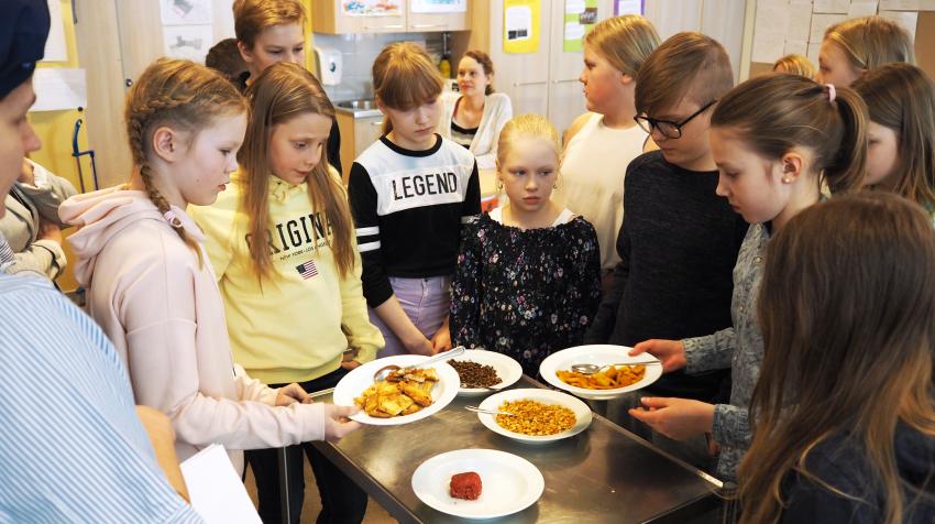 在芬兰，学校的孩子们正在学习如何把各种豆子（可食用的豆科植物 ）纳入自己的饮食当中。在芬兰于韦斯屈莱，学生们参加了一次由芬兰环境研究所组织的蛋白质试吃小测。