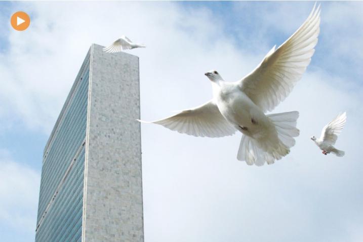 Des colombes sont relâchées au siège des Nations Unies dans le cadre d'une cérémonie organisée à l'occasion de la Journée de la paix.