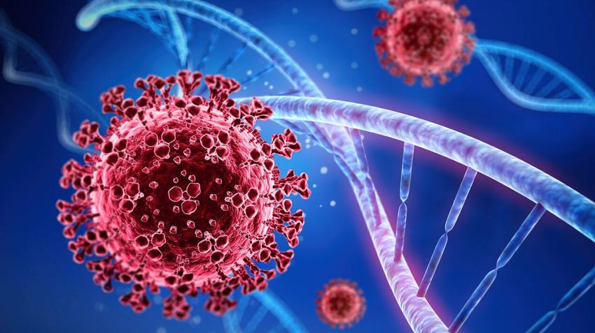 The critical conclusion from the proposed model is the fact that the COVID-19 pandemic behaves like a physical phenomenon (Image: PAHO)