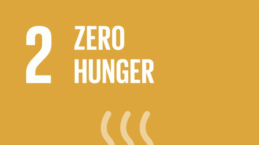SDG 2 : Zero Hunger