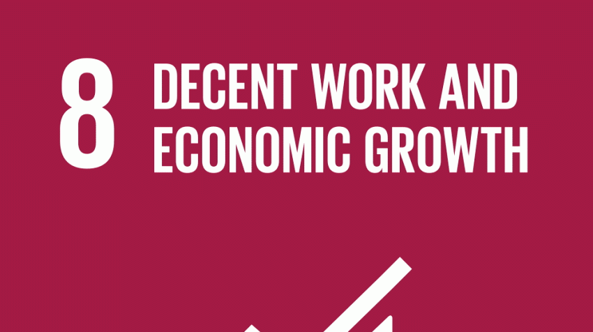 SDG 8 : Decent Work and Economic Growth