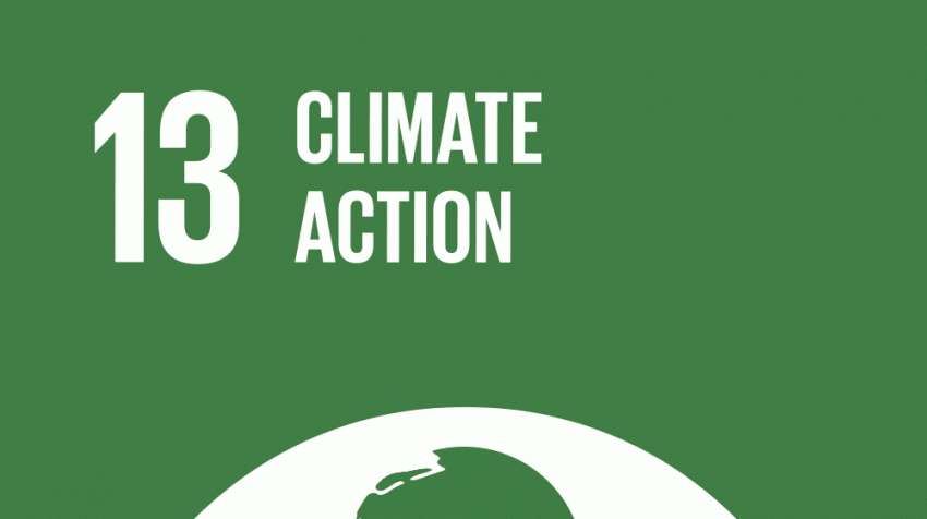 SDG 13 : Climate Action 
